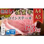 牛肉 サーロイン 6か月定期便 艶さし A4~A5