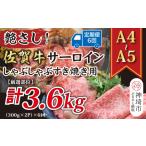 牛肉 サーロイン 6か月定期便 艶さし 厳選部位