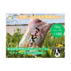 ショッピングふるさと納税 定期便 ふるさと納税 米 コシヒカリ 新潟県 阿賀野市  令和7年産新米 6ヶ月定期便 阿賀野市産 コシヒカリ 「ファームホリコシ美田米」 5kg×6回 白米 精米 3H07079