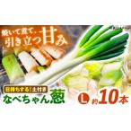 fu.... налог овощи вид лук порей Shimane . юг город предшествующий предварительный заказ 2025 год 11 месяц отправка начало лук порей ... так же прекрасный тест .. кастрюля Chan .( земля имеется ) превосходящий товар L размер 2.5kg( примерно 10шт.@)....