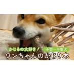 かじるの大好き ワンちゃんのかじり木 小型~中型犬
