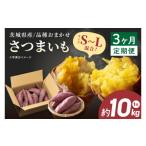 野菜類 サツマイモ さつまいも 定期便 紅はるか