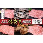 牛肉 サーロイン 奇数月発送 全6回定期便
