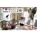 体験チケット 猫ルーム1時間利用チケット2枚
