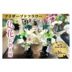 花 苗木 No.5895-0770 プリザーブドフラワー