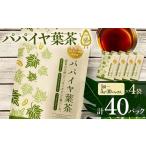 紅茶 茶葉 ティーバッグ パパイヤ葉茶 5g×10パック