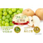 ぶどう マスカット シャインマスカット あたご梨