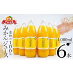 果汁飲料 みかん みかんジュース 本物の100%みかんジュース