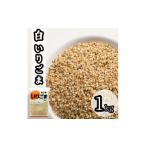 調味料 油 白 いりごま 1kg