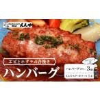 肉 ハンバーグ Restaurant Nikko