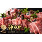 神戸牛 焼肉 食べ比べ 9種