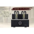 TV オーディオ カメラ コンパクト 真空管パワーアンプキッ…