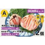 カニ ずわいガニ A 越前がに甲羅盛 105g前後