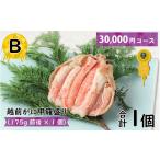 カニ ずわいガニ B 越前がに甲羅盛 175g前後