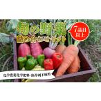 セット 詰合せ 先行受付 旬のお野菜セット