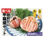 カニ ずわいガニ A 越前がに甲羅盛 200g前後