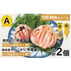 カニ ずわいガニ A 越前がに甲羅盛 270g前後