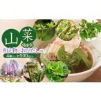 fu.... налог овощи вид дикоросы Yamagata префектура Tsuruoka город . мир 8 год отправка дикоросы комплект мир . предмет,.... для (4 вид и больше )....,..... цветок, вода .. и т.п. итого 500g и больше серый...