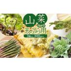 fu.... налог овощи вид дикоросы Yamagata префектура Tsuruoka город . мир 8 год отправка дикоросы комплект небо .. для (3 вид и больше ) треска. ., гора udo, месяц гора . и т.п. итого 300g и больше Grace ферма 