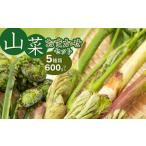 fu.... налог овощи вид дикоросы Yamagata префектура Tsuruoka город . мир 8 год отправка дикоросы случайный комплект (5 вид и больше ) итого 600g и больше ....., треска. ., вода .. и т.п. Grace ферма 