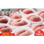 ふるさと納税 もも 福�