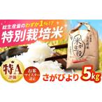 ふるさと納税 米 さがびより 佐賀県 白石町 先行予約 令和7年産 こだわりの特別栽培米 さがびより 5kg 定松ファーム 佐賀県産 特A 特A評価 白米 コメ こめ お…
