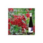 果汁飲料 濃縮サンザシ500ml瓶 3倍希釈タイプ
