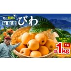 fu.... налог фрукты вид локва Кагосима префектура Кагосима город .. утро .. Кагосима Sakura остров производство локва 1 коробка ( превосходящий товар ) K343-001