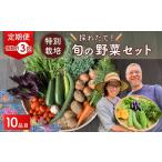 セット 詰合せ 野菜 旬の野菜セット 10品目