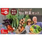 セット 詰合せ 野菜 旬の野菜セット 5品目