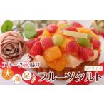 ケーキ カステラ タルト フルーツ鬼盛り 大満足フルーツタ…