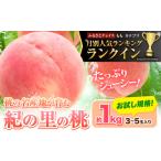 ふるさと納税 もも 和歌山県 岩出市 桃 人気ランキング ランクイン 和歌山県産 紀の里の桃 約1kg (3-5玉)《2025年6月中旬-8月中旬頃出荷》 2025年 先行予約 紀…
