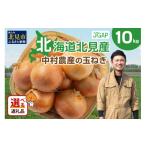 ふるさと納税 野菜類 玉ねぎ 北海道 北見市 2026年1月中お届け 北海道北見産 玉ねぎ 10kg ( 野菜 たまねぎ タマネギ 玉葱 玉ねぎ 甘い Lサイズ 10キロ 玉ねぎ…
