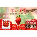 ふるさと納税 いちご 千葉県 山武市  先行予約 1月下旬から発送 赤い宝石 おなぎ苺園のジュエルベリー 完熟いちご とちおとめ 約500g SMCO001