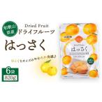 加工品等 ドライフルーツ はっさく 20g×6袋