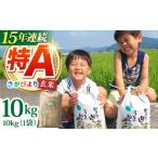 ふるさと納税 玄米 佐賀県 江北町  2025年12月発送 令和7年産 新米 さがびより 玄米 10kg ひなたむらのお米 HAC004 米 佐賀 佐賀県産 特A評価 特A米 玄米 新米…