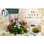 花 a10-1174 季節のおまかせ寄せ植えバスケット