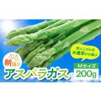 野菜類 アスパラガス 令和9年産 6月下旬~