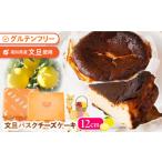 ケーキ カステラ チーズケーキ 文旦バスクチーズケーキ