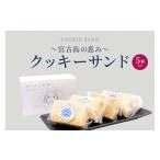 ケーキ カステラ チーズケーキ AYT003