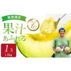 ふるさと納税 メロン メロン青肉 茨城県 鉾田市 発送5月〜 ジューシーな果汁たっぷりメロン \生産量日本一の実力 / 旬の イバラキング メロン 茨城県 鉾田…