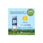 飲料類 牛乳 毎月定期便 たのはた牛乳1000ml×1本