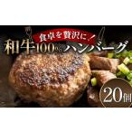 ふるさと納税 牛肉 ハンバーグ 富山県 立山町 食卓を贅沢に 和牛100％ハンバーグ 20個 牛肉 100％ フライパン 焼くだけ 濃厚 簡単 香ばしい 肉汁 ジューシー …