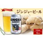 ビール 地ビール 中 ジンジャービール 6本