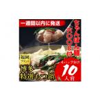 牛肉 もつ鍋 7日以内に発送 10人前