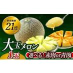ふるさと納税 メロン メロン青肉 茨城県 鉾田市 来年2026年先行予約 発送5月下旬〜 最高糖度21度 奇跡のキスグリーンメロン 10000円 以下 1玉 青肉 めろん お…