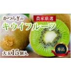 果物類 秀品 キウイフルーツ 大玉15個入