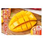 ショッピングふるさと納税 マンゴー ふるさと納税 マンゴー 宮崎県 日向市  期間限定発送 マンゴー 宮崎県産 完熟マンゴー 3L 以上 1玉 日向サンパーク 宮崎県 日向市 452061246 宮崎 果物 フルー…