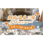 自治体にお任せ 温泉三昧ガイド付きツアー