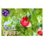 ふるさと納税 もも 山梨県 甲州市  クール配送 桃でもすももでもない スイートネクタリン 約2kg 7〜9玉 2026年発送 （KFT）B13-1810 スイートネクタリン 桃 も…